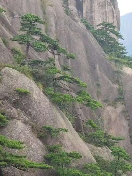 云南泼水节